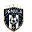 Pemula fc